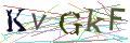 Captcha Not Loaded